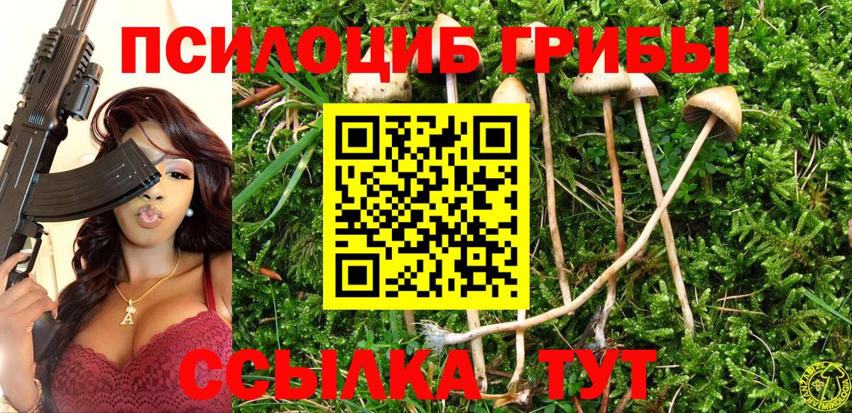 Кингисепп  Галлюциногенные грибы прущие грибы  Вход с VPN 