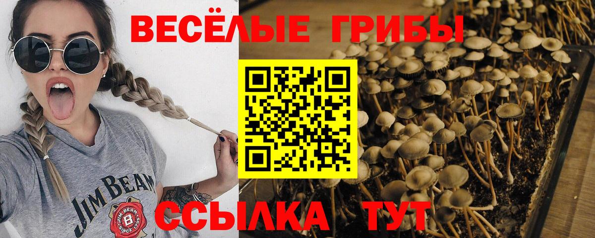 Галлюциногенные грибы ЛСД Кингисепп