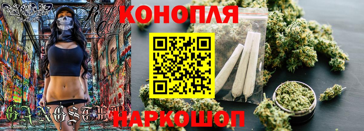Бошки марихуана планчик  Вход с VPN  МАРИХУАНА Bruce Banner  Бошки марихуана план  Кингисепп 